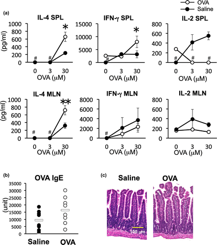 Fig. 2. Cytokine response, IgE antibody levels and intestinal histology analysis of OVA-administrated mice.