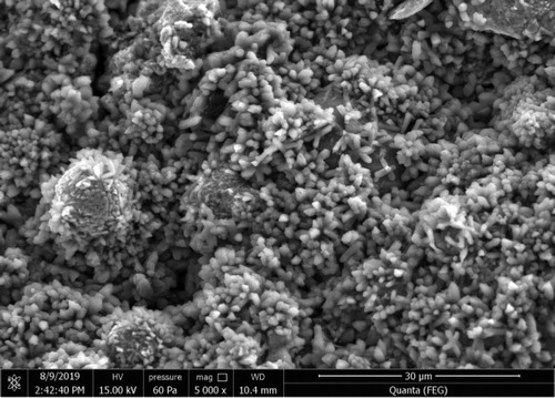 Figure 14. ESEM image of iron ore agglomerate after open-air drying.
