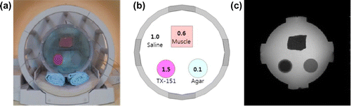 Figure 17. Experiment setup. (a) Cylindrical phantom inside the RF coil. (b) Diagram of the conductivity distribution. (c) MR magnitude image at the centre of the phantom.