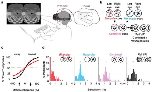 Figure 4. Assessing the sensitivity to motion in depth under different cue conditions* (Adapted from Fulvio, Ji, & Rokers, Citation2020). * a) Observers viewed random dot motion stimuli in an Oculus DK2 head-mounted display (HMD). The stimuli simulated dots that moved toward or away from the observer through a cylindrical volume. The proportion of signal dots (coherence), which moved coherently either toward or away, and noise dots, which moved randomly through the volume, was varied in a random, counterbalanced order across trials. Observers reported the perceived motion direction. Stimuli were presented in a virtual environment that consisted of a room (the insert depicts a “zoomed out” view) with a 1/f noise-patterned plane located 1.2 m from the observer. b) Dot motion was defined by one of four sets of sensory cues, presented in a randomized blocked order. Binocular dot motion contained binocular cues to depth (i.e., changing disparity, inter-ocular velocity), but lacked monocular cues to depth (i.e., dot density and size changes). Monocular dot motion contained monocular cues to depth but lacked binocular cues. Combined cues dot motion contained both binocular and monocular cues. Full VR dot motion contained binocular and monocular cues and motion parallax cues associated with head-motion contingent updating of the display. c) Psychometric functions were fit to the percentage of “toward” responses at each motion coherence level to obtain the slope (σ) of the fit for each observer in each cueing condition. Sensitivity in each cueing condition was defined as the inverse of the slope, with larger values indicating greater sensitivity. d) Histograms of the distribution of sensitivities across observers in each of the four cueing conditions reveal considerable variability both within and across conditions. Sensitivity tends to be greater in combined cue conditions compared to when cues are presented in isolation.