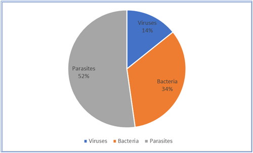 Figure 3. Focus of studies on zoonotic pathogens in Southeast Asia.