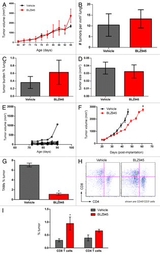 Figure 3. Pharmacological blockade of CSF1R signaling increases infiltration of T cells and decreases tumor growth but does not affect pulmonary metastasis in PyMT mice. (A–E) 63- to 70-d old MMTV-PyMT transgenic mice were randomized by total tumor burden and dosed with 200 mg/kg BLZ945 or vehicle (n = 9 per group) at the indicated time points. Individual tumor volumes were calculated by caliper measurements with total tumor burden being the sum of these measurements. (A) Cumulative tumor burden of vehicle- and BLZ945-dosed mice. (B) Lungs from MMTV-PyMT mice were formalin-fixed and serially sectioned to histologically evaluate the number of individual metastases per mm2 of lung. (C) The total metastatic tumor area as a percentage of lung tissue. (D) The average area (mm2) of lung metastatic spread (E) Representative graph showing individual tumor volumes taken from a vehicle-treated mouse. (F–I) Spontaneous tumors from naïve MMTV-PyMT mice were pooled and digested to form a single-cell suspension. Cells were injected into mammary fat pads of syngeneic mice. PyMT allograft-recipient mice with average tumor volumes ~280 mm3 were randomized into 2 groups and dosed with 200 mg/kg BLZ945 or vehicle control 21 d post-implantation. (F) Caliper measurements of tumor volumes (n = 6 per group) were taken every 3–4 d. In a separate study, tumors (n = 4 per group) were analyzed by flow cytometry to determine infiltration of (G) CD45+CD11b+Ly-6G/C(Gr-1)−/loF4/80+ TAMs and (H and I) CD45+CD3+CD4+ and CD45+CD3+CD8+ T cells in tumor allografts . Graphs display mean values ± SEM. Statistical analyses were performed by 2-tailed unpaired Student t test; *P < 0.05 vs. vehicle; data shown are representative of at least 2 experiments.