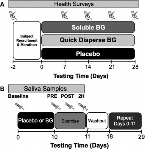FIGURE 1.  Testing Timelines for Experiment One (A) and Two (B). (A) Testing in experiment one was completed using a field study where subjects completed 28 days of supplementation with either soluble BG, insoluble BG, or placebo (rice flour) after completion of a marathon. Subjects were provided two packets of health surveys in a business reply envelope and asked to return them to the laboratory for evaluation at 14 and 28 days postmarathon. (B) In experiment two, subjects were supplemented with either insoluble BG or placebo in a randomized crossover design for 10 days prior to a cycling bout (49 ± 6 min) in a hot (45°C), humid (50% relative humidity) environment. Saliva samples were collected with a salivette at baseline (prior to supplementation), prior to exercise (PRE), immediately (POST), and 2 hr (2H) after exercise.