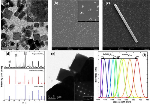 Figure 2. Structural characterisation of CsPbBr3 perovskite NCs and NWs. (a) TEM (scale bar, 50 nm) and (inset; scale bar, 5 nm) high-resolution TEM images of fresh NCs. (b) SEM image of well-dispersed NPs after SSREC (scale bar, 10 μm), with the local SEM of the NPs (inset; scale bar, 1 μm). (c) SEM image of a single NW on the substrate (scale bar, 2 μm). (d) XRD pattern of the as-grown CsPbBr3 NWs (black curve, top panel) in comparison with those of orthorhombic (red curve, middle panel) and cubic standards (blue curve, bottom panel). (e) TEM image of a CsPbBr3 NW (scale bar, 0.5 μm), with (inset) its SAED pattern (scale bar, 5 nm−1). (f) PL spectra of various CsPbX3 NW materials excited by a mercury lamp.