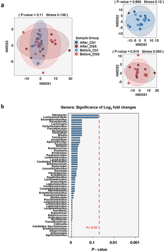 Figure 3. Analysis of taxonomic change compared to the baseline (day 13) for each bioreactor. a: NMDS analysis of the log2 fold changes of bacterial genera to baseline. b: significance analysis based on log2 fold changes between the four treatment groups: before DSS-, DSS-treatment, before PBS and PBS-treatment calculated by Kruskal–Wallis test corrected for multi-testing using the Benjamini–Hochberg method.