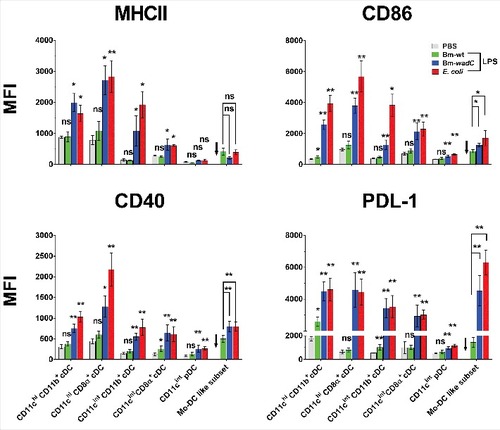 Figure 6. Bm-wt LPS poorly triggered phenotypic maturation of splenic DC subsets in vivo, in contrast to Bm-wadC LPS which promoted strong activation of DCs. 6–8 weeks-old C57BL/6J mice were injected intraperitoneally with 1xPBS (PBS), Bm-wt LPS (30 μg/mouse), Bm-wadC LPS (20 μg/mouse) or E. coli LPS (10 μg/mouse). 12 h later, mice were sacrificed, single-splenocyte suspensions were prepared and expression levels (MFI, Mean of Fluorescence Intensity) of MHCII, costimulatory molecules (CD86 and CD40) and inhibitory marker (PDL-1) on splenic DC subsets were determined by flow cytometry. Arrows point to the absence of data due to failure of mo-DC mobilisation by PBS. Data represent mean ± standard deviation of 3 independent experiments, each with n = 3 mice per condition. Statistical analysis was performed with the non-parametric one-way ANOVA test, followed by variance analysis with the Mann-Withney U test. Significant differences from PBS injected mice are shown; #, P < 0.05; ##, P < 0.001. ns, non-significant.