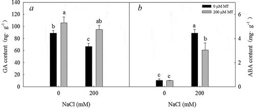 Figure 7. GA and ABA concentrations in L. bicolor seeds after 2 days of treatment with different concentrations of melatonin (MT) (0 µM, 200 µM) under 0 and 200 mM NaCl conditions. A: GA concentration; B: ABA concentration. Values are mean ± standard deviation of three biological replicates. Bars with different letters are significantly different at P < .05 according to Duncan’s multiple range tests.