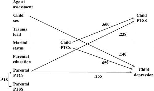 Figure 3. Cross-sectional associations for the interpersonal trauma sample.