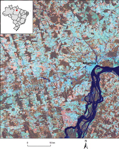 Figure 2. Study area in and around Altamira, Pará State, Brazil.