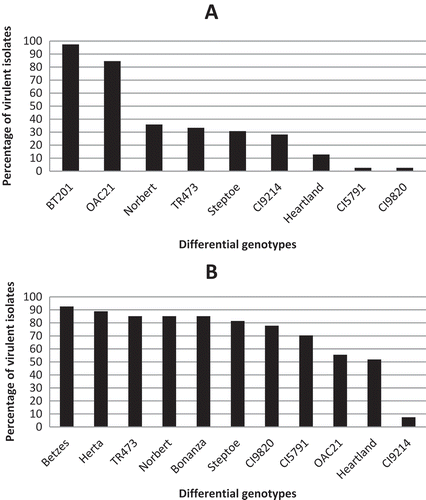 Fig. 2 a, Percentage of western Canadian Pyrenophora teres f. teres isolates virulent on nine barley differential genotypes; BT 201 (97.4%, 38 isolates), ‘OAC 21ʹ (84.6%, 33 isolates), ‘Norbert’ (35.9%, 14 isolates), TR 473 (33.3%, 13 isolates), ‘Steptoe’ (30.8%, 12 isolates), CI 9214 (28.2%, 11 isolates), ‘Heartland’ (12.8%, 5 isolates), CI 5791 (2.6%, 1 isolate), CI 9820 (2.6%, 1 isolate). b, Percentage of western Canadian Pyrenophora teres f. maculata isolates virulent on 11 barley differential genotypes; ‘Betzes’ (92.6%, 25 isolates), ‘Herta’ (88.9%, 24 isolates), TR 473 (85.2%, 23 isolates), ‘Norbert’ (85.2%, 23 isolates), ‘Bonanza’ (85.2%, 23 isolates), ‘Steptoe’ (81.5%, 22 isolates), CI 9820 (77.8%, 21 isolates), CI 5791 (70.4%, 19 isolates), ‘OAC 21ʹ (55.6%, 15 isolates), ‘Heartland’ (51.9%, 14 isolates), CI 9214 (7.4%, 2 isolates).