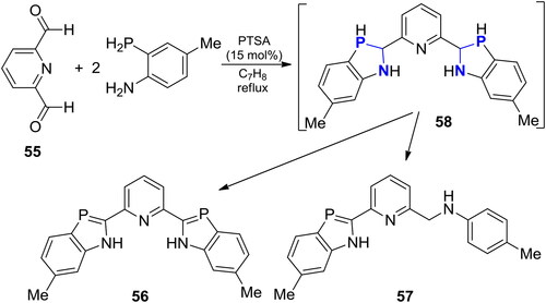 Scheme 33. Reaction of pyridine-2,6-dicarbaldehyde with 4-methyl-2-phosphinoaniline.[Citation75,Citation103]