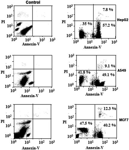 Figure 6. Flow Cytometric analysis of the cancer cell lines treated with CS/PLA-PIC NPs (right) compared with control (left).