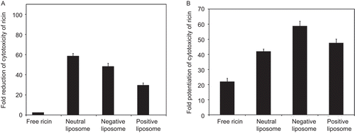 Figure 1.  Cytotoxicity of various charged liposomal ricin in KB cells: Effect of free monensin. The monolayer cultures were pre-incubated without or with (50 nM) monensin for 1 h at 37°C followed by treatment with varying concentrations of free and different charged liposomal ricin for 4 h at 37°C. The inhibition of protein synthesis was then measured by 3H-leucine incorporation into proteins, as described in ‘Materials and methods’. The ID50 of liposomal ricin are calculated as percentage of incorporation of 3H leucine into proteins by untreated cells, i.e. the control. (a) The fold reduction of the cytotoxicity of liposomal ricin was calculated by dividing ID50 of ricin in various charged liposomal form with the ID50 of ricin in free form. (b) The fold potentiation of the cytotoxicity of ricin in free and liposomal form was calculated by dividing ID50 of ricin in the absence of monensin with ID50 in the presence of monensin (50 nM). Each bar represents mean ± SD (n = 3).