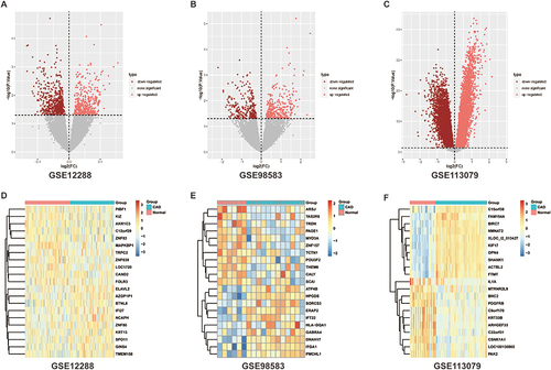 Figure 1 Differential analysis of data sets. (A–C) Differential analysis volcano maps and (D–F) differential analysis heat maps using P<0.05, |logFC|>0 to screen differentially expressed genes.