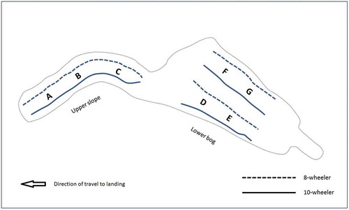 Figure 2. Layout of forwarding trails (dashed: 8-wheeler, solid: 10-wheeler) from upper slope (blocks A–C over 250 m) to lower bog (blocks D–E and F–G over 200 m). Three transects intersected both forwarding trails per block, perpendicular to the direction of travel, where rut measurements were made in each wheel track