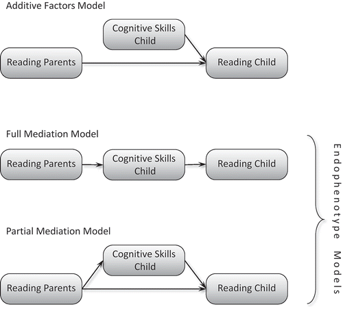 FIGURE 1 Possible causal relationships between reading ability of parents on the one hand and reading-related cognitive skills and reading ability of children on the other.