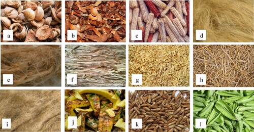 Figure 2. Some of the common agricultural wastes used for CNC extraction: (a) coconut husk, (b) cocoa pod husk, (c) corn cob, (d) ramie fiber, (e) enset fiber, (f) kenaf fiber, (g) rice husk, (h) wheat straw, (i) jute fibers, (j) pineapple waste, (k) date pits, and (l) pea hull.