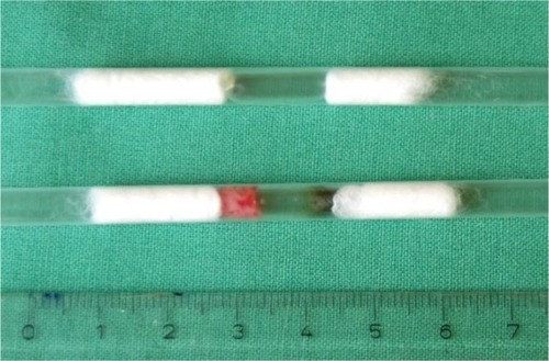 Figure 3 Hermetically sealed capsules with tissue, fixed with cotton wool and placed in plastic tubes.