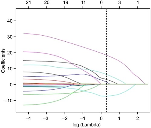 Figure 4 Parameter selection was performed through LASSO regression. The figure shows the regression coefficient plot with 22 factors by LASSO, with five factors screened (ADL score, initial NIHSS score, frontal-lobe Cho/Cr, temporal-lobe Cho/Cr, and anterior cingulate-gyrus Cho/Cr).