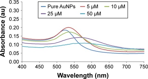 Figure 1 Ultraviolet spectra of PEP-AuNPs at different concentrations of initial peptide solutions compared to pure AuNPs in PBS.Abbreviations: AuNP, gold nanoparticle; PEP-AuNPs, peptide-capped AuNPs.