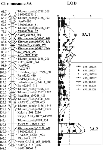 Fig. 2 (Continued)