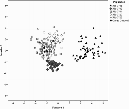 Figure 3. Canonical discriminant analyses plot for scores of phenolic compounds based on the first two canonical discriminant functions separating black currant population.