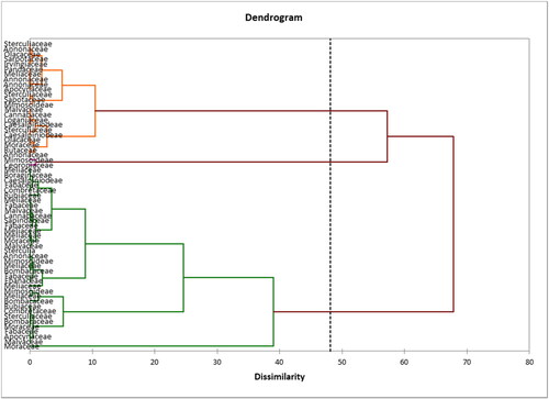 Figure 11. Groupings and variations of tree families within the sampled plot.