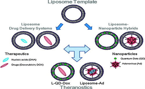 Figure 10 Liposomal-based theranostic nanoparticles. Copyright 2011, American Chemical Society.Citation85