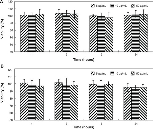 Figure 4 Viability of H1299 cells and HEK293 cells incubated with i-fmSiO4@SPIONs at different concentrations for different periods of time.Notes: (A) H1299 cells and (B) HEK293 cells.Abbreviation: i-fmSiO4@SPIONs, iodinated oil-loaded fluorescent mesoporous silica-coated superparamagnetic iron oxide nanoparticles.