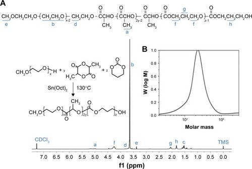 Figure 2 1H-NMR and GPC analysis.Notes: (A) 1H-NMR and (B) GPC spectra of MPEG-PLLA-PTMC.Abbreviation: MPEG-PLLA-PTMC, monomethyl poly(ethylene glycol)-poly(l-lactide)-poly(trimethylene carbonate).