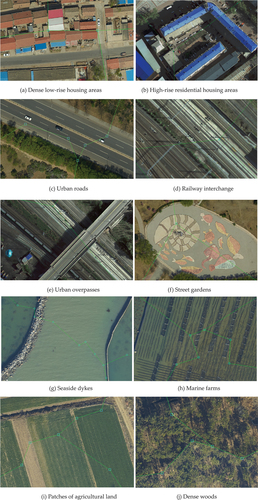 Figure 7. Doms of ten typical surface features generated by the fully automatic method proposed in this paper.