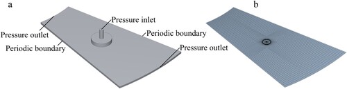 Figure 5. Computational fluid dynamics (CFD) models of the fluid–structure interaction (FSI) models.