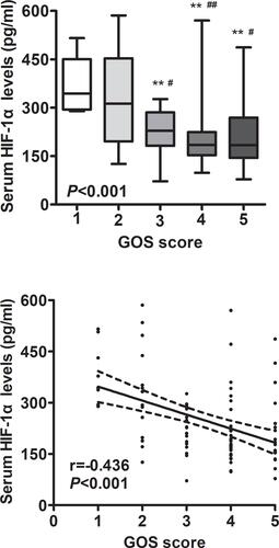 Figure 4 Relationship between serum hypoxia-inducible factor 1alpha levels and Glasgow Outcome Scale score at 90 days after intracerebral hemorrhage. Whether Glasgow Outcome Scale score was a continuous or categorical variable, serum hypoxia-inducible factor 1alpha levels were significantly declined with raised Glasgow Outcome Scale score using Spearman correlation coefficients (P<0.001) or Kruskal–Wallis H-test (P<0.001). In boxplot, **P<0.01 compared with Glasgow Outcome Scale score 1, as well as #P<0.05 and ##P<0.01 compared with Glasgow Outcome Scale score 2. In correlation graph, the solid line means line of best fit and dashed line represents 95% confidence interval of a population mean.