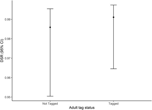 Figure 1. Relationship between daily survival rate (DSR) and radio tag deployment status of parental adult Nightjar at Brechfa Forest, Carmarthenshire, Wales, 2013–2019. Daily survival results are based on 85 nests pooled across 2013–2019. The points represent the estimated mean DSR values, and the bars represent the 95% confidence intervals.