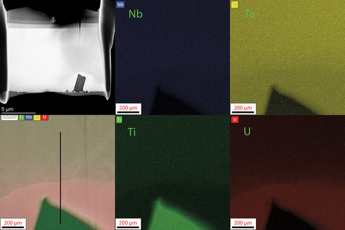 Fig. 12. EDS maps of the NbTaTiU2 alloy near the Ti needle and the U matrix surrounding the needles. The line scan measures across the transition from the refractory phase to the uranium matrix and into the Ti needle. The line scan plot is shown in Fig. 13. Selected area electron diffraction patterns from this region are shown in Fig. 14.