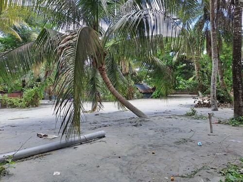 Figure 2. A pond in Mongla recently filled with dredged sand. Source: Photograph taken by M. Feisal Rahman.