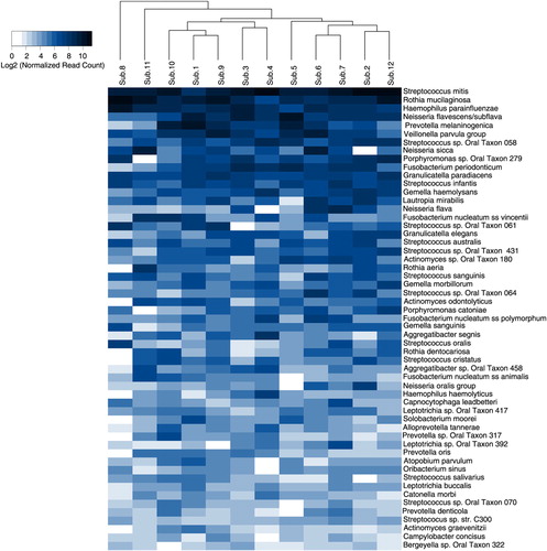 Fig. 4.  Heatmap of core species. The 55 core species (detected in at least 11 subjects) are ordered by their relative abundance across the study subjects. The map shows the relative abundance, normalized and log2-transformed, of the species within each subject. The subjects are clustered accordingly. Veillonella parvula group: V. parvula, V. dispar, V. atypica, and V. rogosae. Neisseria oralis group: N. oralis and Neisseria oral taxa 014 and 016.