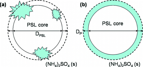 FIG. 3 A representative schematic of the particle shape and diameter used to determine the mass fraction of (NH4)2SO4 (fsolute) associated with each PSL sphere. A representation of the internally mixed particles based on the TEM images from Figure 1 is shown in (a), where solid crystallites of (NH4)2SO4 are formed on the PSL surface. When the particle is sized by the SMPS, the measured diameter is that of a sphere equivalent in volume to the internally mixed PSL particle. This diameter is represented by the dashed black line. In (b), the particle is assumed to have a uniform, crystalline layer of (NH4)2SO4 coating the PSL surface, where the thickness is the difference between the measured particle diameter, DP, and known PSL diameter, DPSL.