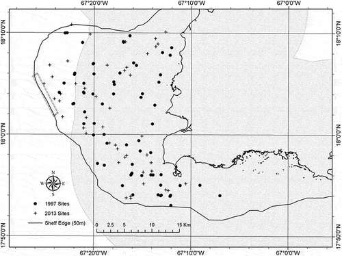 FIGURE 1. Locations of the randomly chosen sampling sites for the 1997 and 2013 queen conch visual surveys on the western platform of Puerto Rico (inside the 50-m isobath). The double-dashed box shows the approximate location of the Abrir La Sierra site surveyed by Garcia-Sais et al. (Citation2012). The gray stippled area represents waters under local jurisdiction.