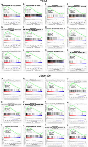 Figure 8 Gene set enrichment analysis of PUS1 using TCGA data. A, F: Results of c5-reference gene sets for high expression group of PUS1. G, L: Results of c2-reference gene sets for high expression group of PUS1.