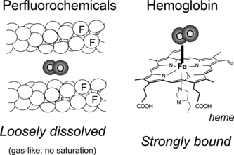 Figure 1 Oxygen transport by perfluorochemicals and hemoglobin: in the case of Hb, O2 is bound to the iron atom of a heme through a strong, localized chemical bond. In PFCs, there exist only loose, non-directional van der Waals interactions; PFCs and gases are alike; both present very low cohesive energy densities, which facilitates mutual solubilization.