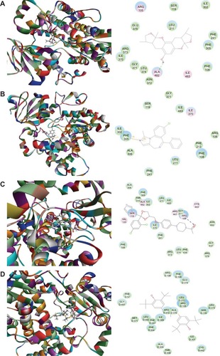 Figure 3 Molecular interactions between XKB, MDZ, KTZ, and probucol and the rat Cyp3a2 homology model.