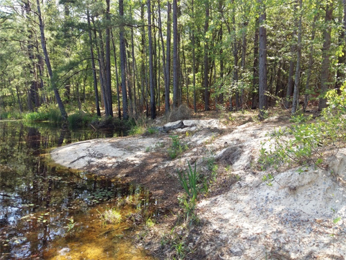 Figure 9. Sand deposition (two small lacustrine deltas) on southeast corner of Davis Pond.