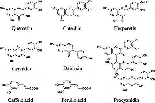Figure 4. Chemical structures of some phenolic compounds commonly found in fruits and coffee.[Citation3]