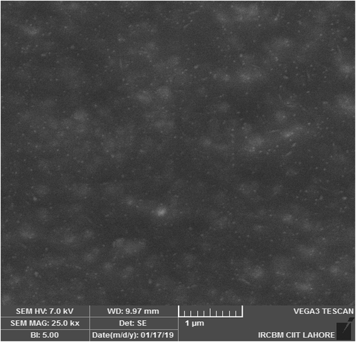 Figure 3a. SEM image of miconazole loaded nanoemulsions at 1 µm