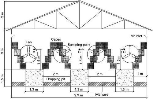 Figure 2. Cross-section view of the laying-hen house. Airborne bacterial measurements were performed at points A, B, and C to compare bacterial reductions by spraying disinfectants. Air temperature and relative humidity were measured at point B and outside of the building.