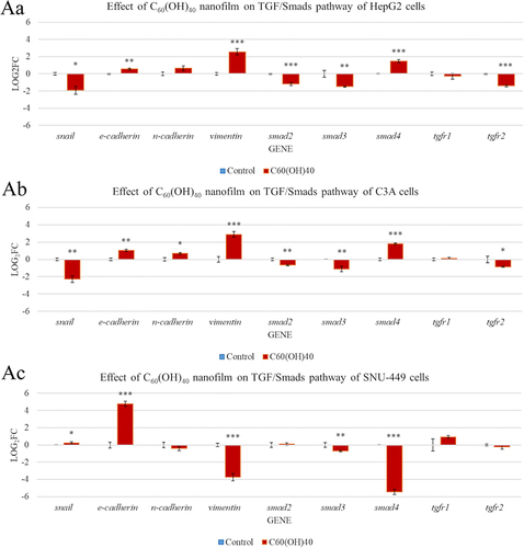 Figure 8 Messenger RNA (mRNA) expression of genes involved in mesenchymal-epithelial transformation of HepG2 (Aa), C3A (Ab), and SNU-449 (Ac) model cells after culturing for 24 h on C60(OH)40 nanofilm. mRNA levels were determined with real-time polymerase chain reaction. The bars represent the means with standard deviations (n = 4). Relative expression was calculated using the reference gene (GAPDH) and the non-treated group (value = 0). The expression is presented as log2(fold change). Values above 0 indicate an increase in gene expression. Values below 0 indicate a decrease in gene expression. Differences with a p-value ≤ 0.05 were defined as statistically significant compared to the control group: one asterisk (*), p-value ≤ 0.05; two asterisks (**), p-value ≤  0.01; three asterisks (***), p-value ≤  0.001.