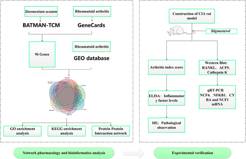 Figure 1 Flow chart of the study analysis process.