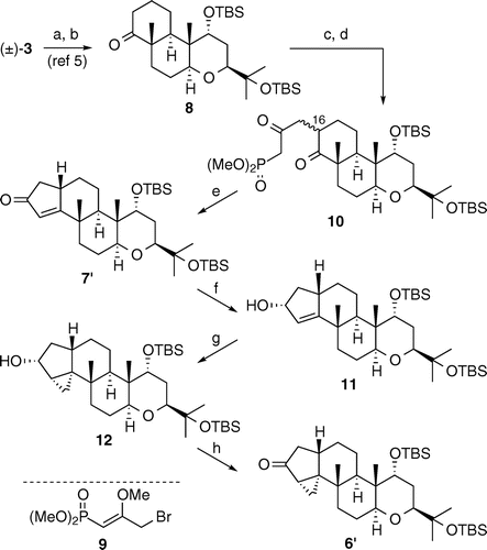 Scheme 2. Preparation of 6′.Notes: Reagents and conditions: (a) TBSOTf, 2,6-lutidine, CH2Cl2, rt, 35 min; (b) TsOH·H2O, MeOH, THF, 0 °C, 3 h, 89% (two steps); (c) LDA, 9, THF, HMPA, −78 °C to rt, 5 h; (d) aq HCl, Me2CO, 0 °C to rt, 11 h; (e) Cs2CO3, THF, 50 °C, 23 h, 43% (three steps); (f) LiBH(s-Bu)3, THF, −78 to −40 °C, 3 h; (g) CH2I2, Et2Zn, CH2Cl2, 0 °C to rt, 3 h; (h) SO3·Py, DMSO, Et3 N, CH2Cl2, 0 °C to rt, 3.5 h, 63% (three steps).