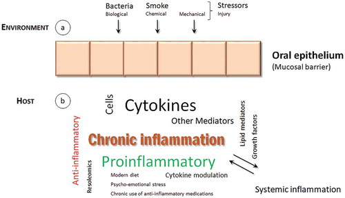 Figure 1. A conceptual framework for chronic inflammation in periodontal tissues.Environmental stressors, (a), and host responses, (b), contribute to periodontal chronic inflammation. Several cellular and molecular factors are responsible for an imbalance towards a proinflammatory rather than anti-inflammatory immune response, that culminates into tissue injury. A bidirectional link with other systemic inflammatory diseases may operate and need to be further investigated.